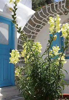 Philippi Mykonos Town