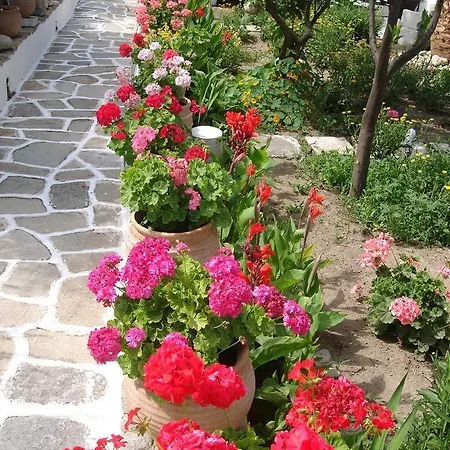 Philippi Hotel Mykonos Town